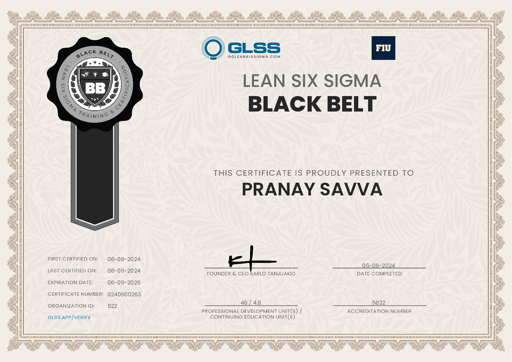 Lean Six Sigma Black Belt